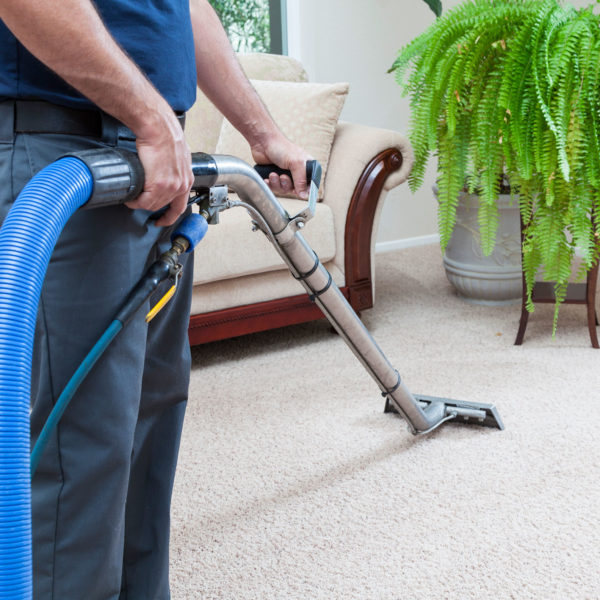 Carpet Clean South West London